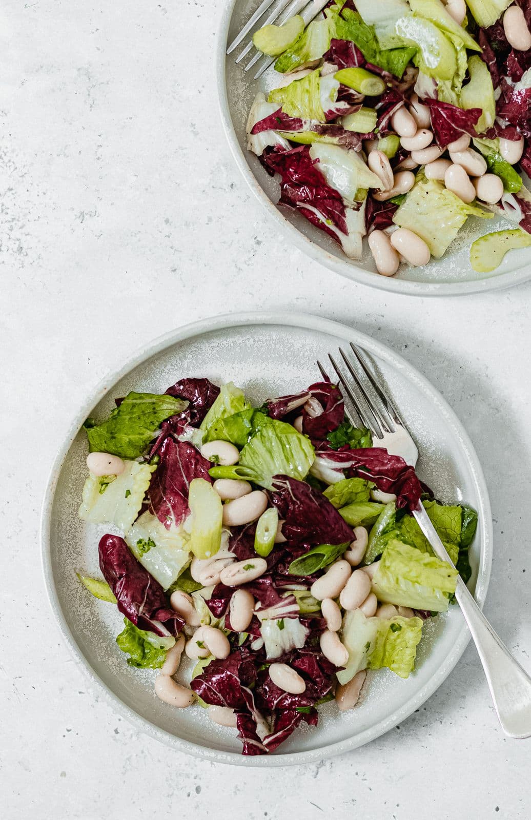 Radicchio & Cannellini Bean Salad