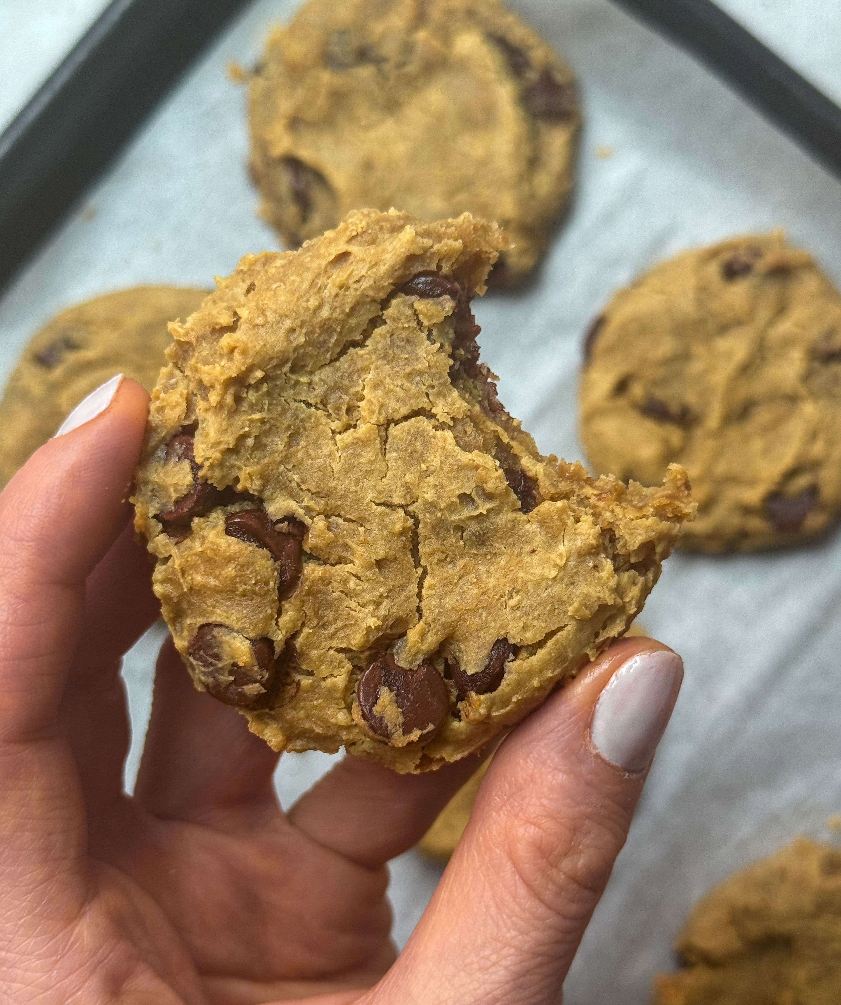 Chocolate Chickpea Cookies